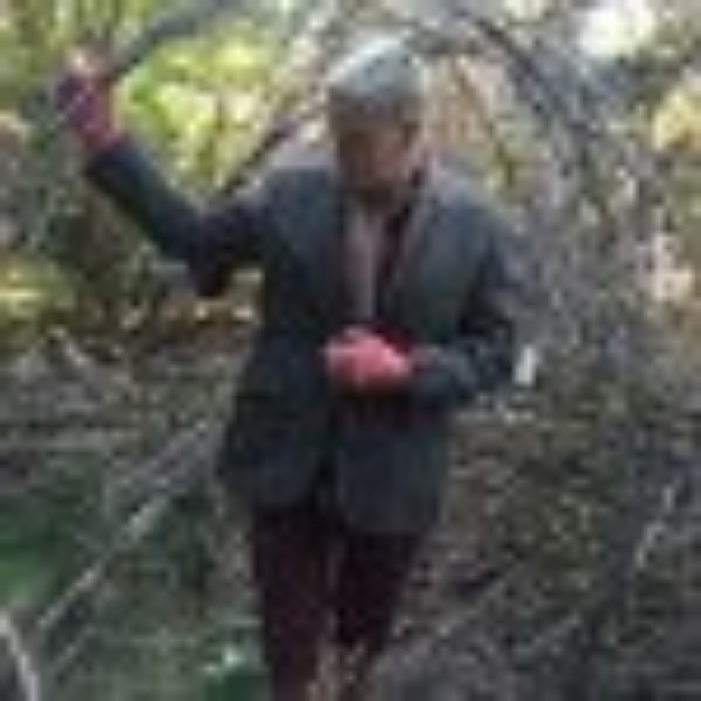 Awesome Elephant and zebra Tweed Jacket! - Picture 4 of 5